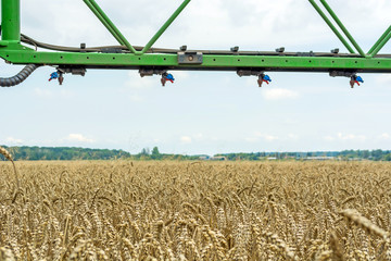 a high-clearance, modern sprayer over the wheat field