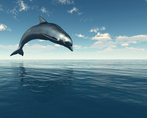 Fototapeta premium dolphin jumping out of the water