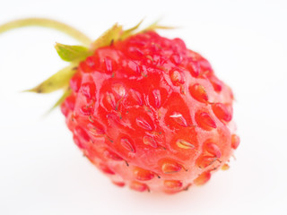 red strawberry on white background