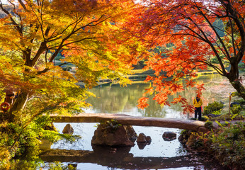 紅葉の六義園 渡月橋の風景