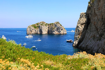Obraz premium The Faraglioni Rocks on the coast of the Capri Island, Italy