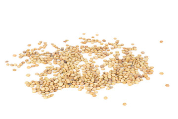 Lot of whole raw green lentil seeds isolated on white