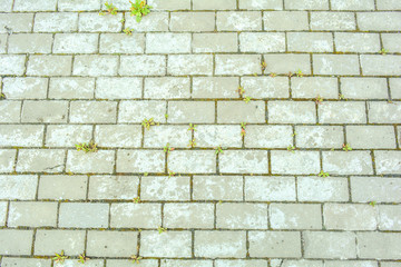 Stone pavement with grass texture. Top view on cobblestone street