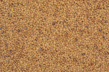 Lot of whole raw green lentil seeds flatlay isolated