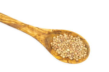 Lot of whole raw green lentil seeds in olive wood spoon flatlay isolated on white