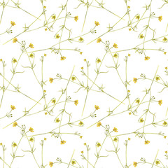 Seamless pattern with flowers of meadow buttercup