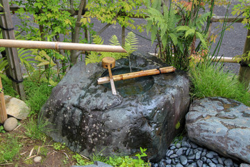 森, 自然, 木, 水, 緑, 木, あばたのある, 風景, コケ, 川, 岩, 橋, 流れ,...
