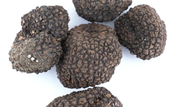 Fine black truffles on white background, top view (loopable)