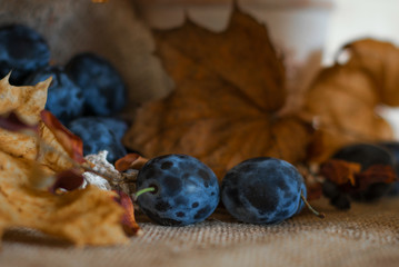 Ripe juicy plums on a rustic autumn vintage background. Autumn still life. Selective focus.