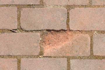 Broken tile in the pavement
