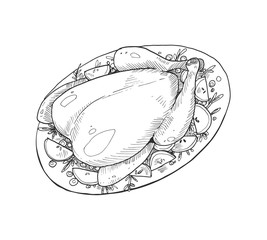 Traditional thanksgiving roasted turkey sketch isolated on white background. Vector llustration.