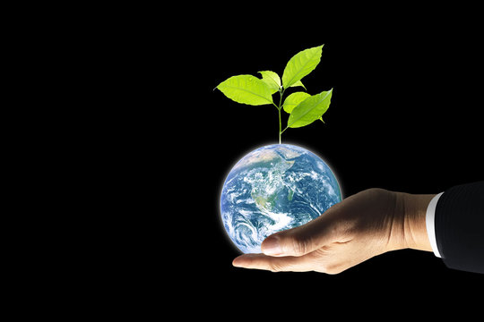 Hand hold earth with strong growth freshness tree isolated on black background with clipping path. Earth image furnished by NASA.