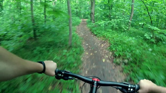 bicyclist rides through the forest, fast speed