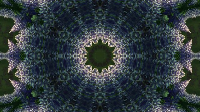 Psychedelic Wallpaper, Slow Morphing Abstract Flower Kaleidoscope Background.mov