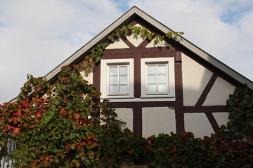 Half Timbered Roof with Ivy