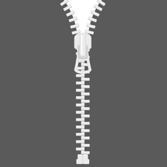 Open zipper on white background
