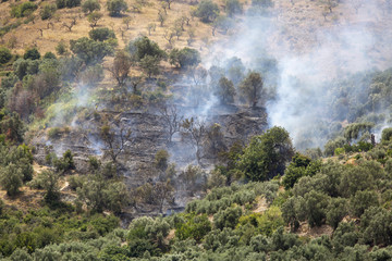 Incendio forestal en los bosques de Granada, España
