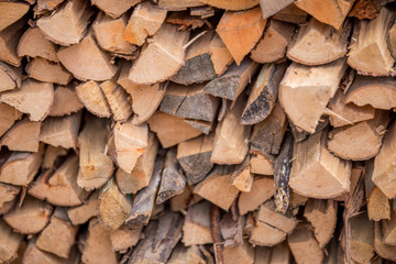 Fototapeta premium Firewood In the garden