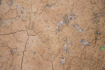 Ground Texture ,