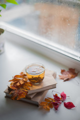 Autumn and winter concept. Tea in a transparent mug, a stack of books, yellow and red autumn leaves, chestnuts, a wet wet window. Background and space for text