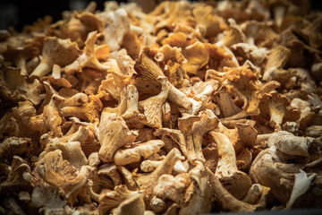Chanterelles on market stall / Fresh raw mushrooms on marketplace 