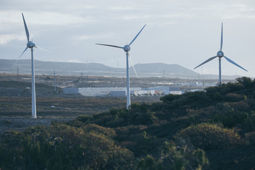 Group of windmills for electric power production.