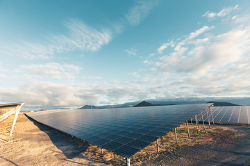 Group of solar and photovoltaic panels for electric power production. © cegli