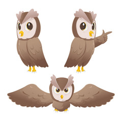 Owl Cartoon Character Pose Set Vector
