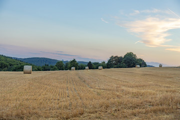 Fototapeta premium rural landscape with harvested field and sunset
