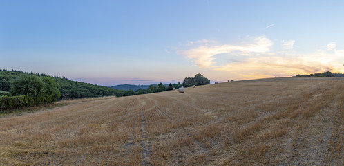Fototapeta na wymiar rural landscape with harvested field and sunset