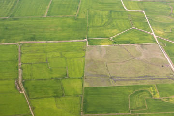 Fototapeta premium rural landscape with green fields near Porto Allegre