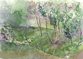 summer landscape with flowering pink trees, garden