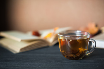 Autumn concept. Tea in a transparent mug, unfolded book, yellow and red autumn leaves and spruce branches, cones and chestnuts on a dark background