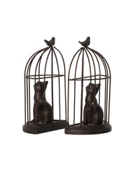 calle livre chat