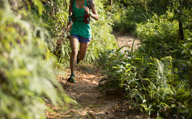 Naklejka na ściany i meble Woman trail runner running in morning forest