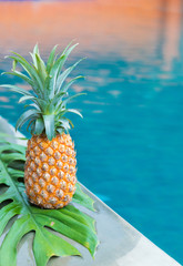 Fresh yellow pineapple tropic fruit summer refreshment near swimming pool