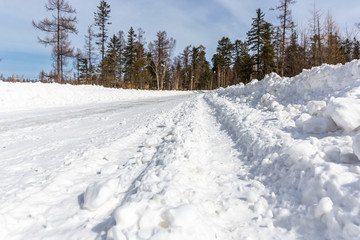 snow road in winter