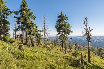 Obraz premium Landschaft auf dem Berg großer Rachel im Bayerischen Wald, Deutschland