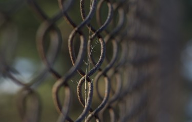 Fence © Cieniu