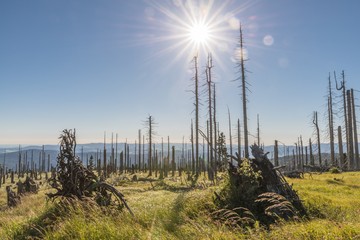 Landschaft auf dem Berg großer Rachel im Bayerischen Wald, Deutschland