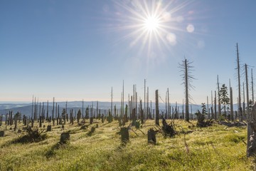 Obraz premium Landschaft auf dem Berg großer Rachel im Bayerischen Wald, Deutschland