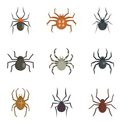 Spider bug caterpillar phobia icons set. Flat illustration of 9 spider bug caterpillar phobia vector icons isolated on white