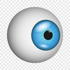 Eye anatomy icon. Realistic illustration of eye anatomy vector icon for on transparent background