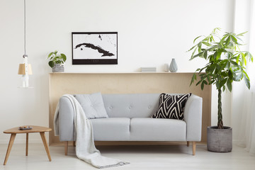 Grey sofa between plant and wooden table in bright living room interior with poster. Real photo