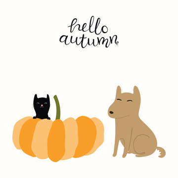 Hand drawn vector illustration of a cute funny little black cat, big pumpkin, dog, with lettering quote Hello Autumn. Isolated objects on white background. Flat style design. Concept for fall harvest.