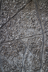 decorative plaster with seashells