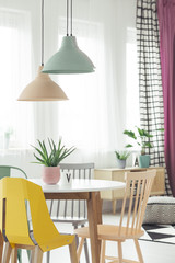 Real photo of pastel lamps hanging above wooden dining table with fresh plant and colorful chairs...