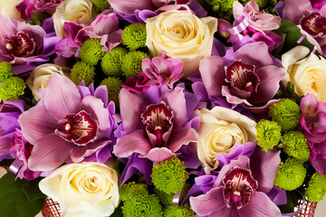 colorful flower background