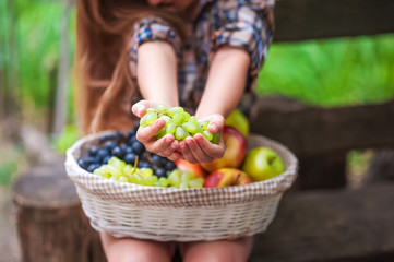 A beautiful girl holds out a bunch of grapes in her hands, in the background a basket with autumn apples and grapes. A girl in a plaid shirt and short denim shorts. The concept of fun and happiness.