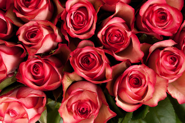roses top view bouquet background closeup